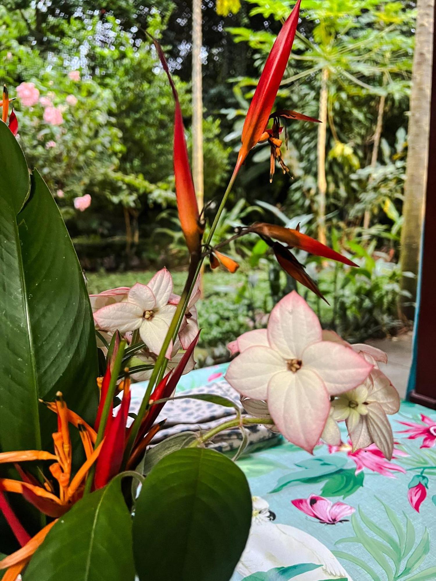 Casa Aldirica Otel Cahuita Dış mekan fotoğraf